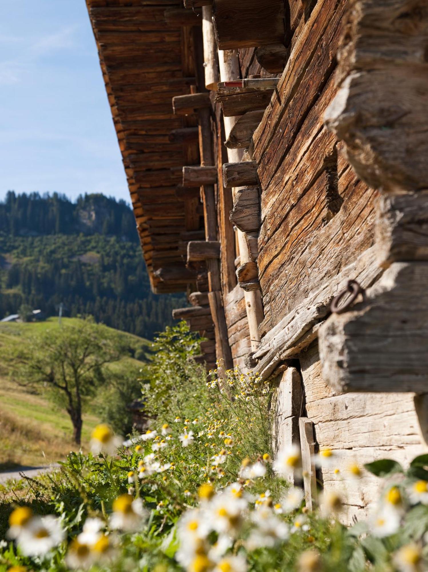 Mgm Hotels & Residences - Residence Le Roc Des Tours Le Grand-Bornand Exterior photo